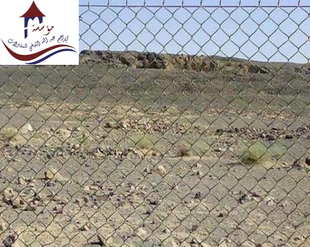  ����� ���� ������� 0507650967_0577782520