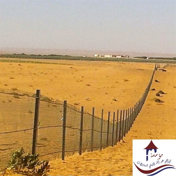  ���� ��� ����� ����� ������ ���� ����� 0507650967_0577782520