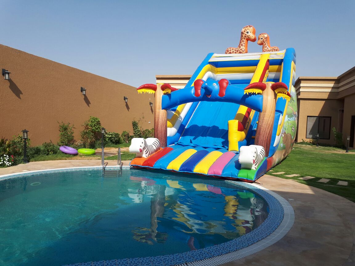 �����,������,�����,������,������,�����,�����, �������,�����,������,0500409008