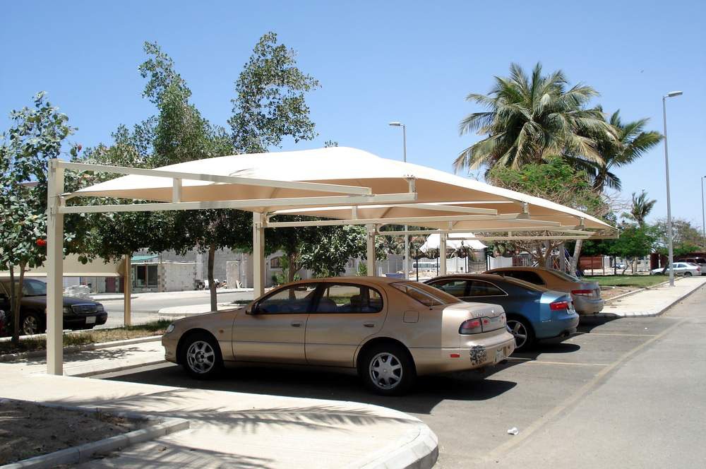 ����� ���� ����� ������ ������� ��������