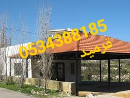 ����� ���� ����� ����� �����