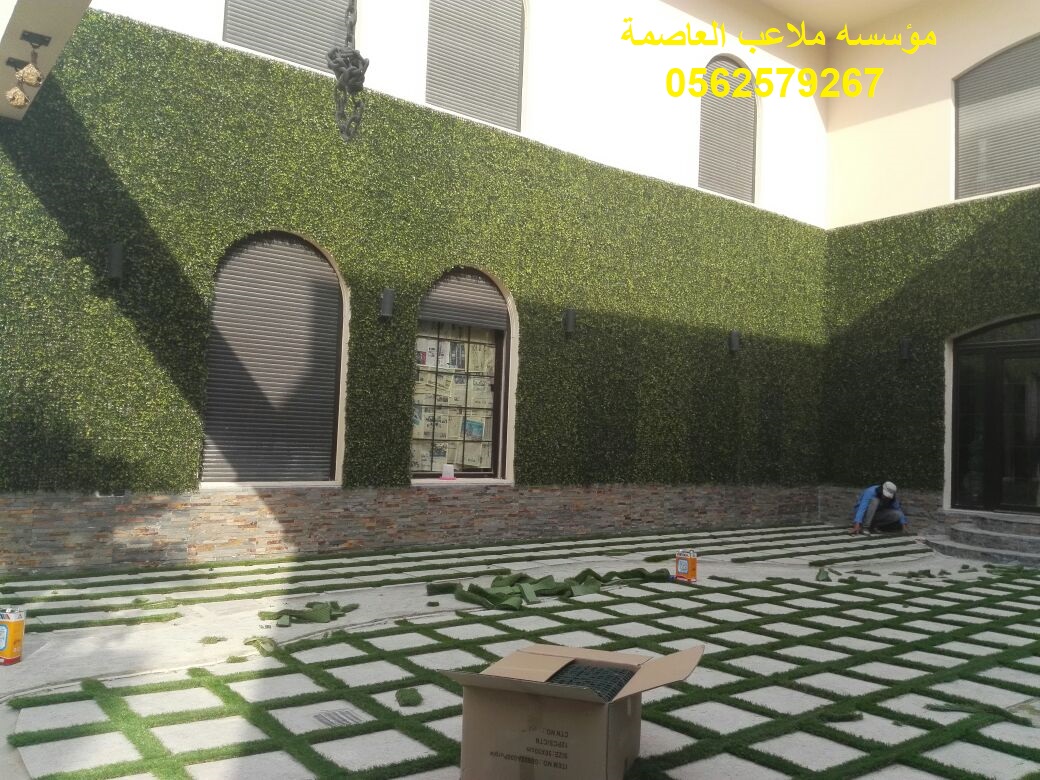 �����,�����,�������,�������,���,�����,�����,�����, ����,���,�����,0562579267