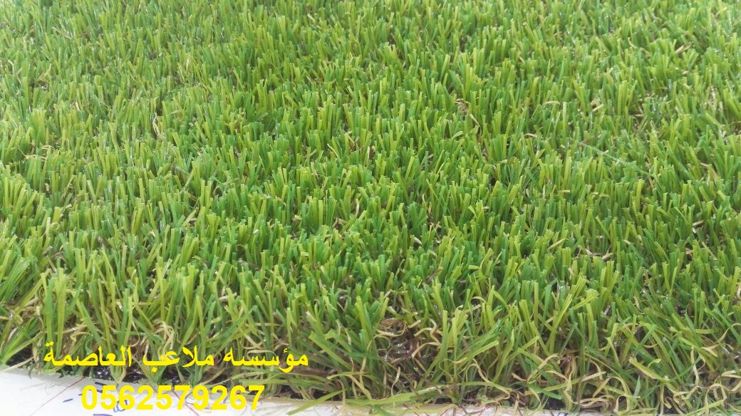 �����,�����,�������,�������,���,�����,�����,�����, ����,���,�����,0562579267