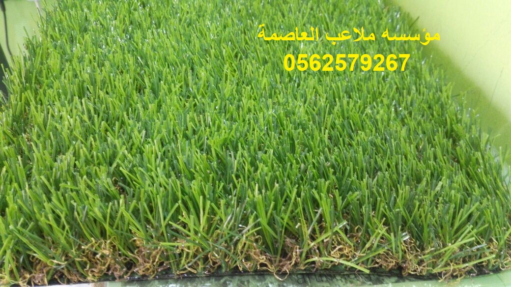 ������� ��� ����� ����� ����� ������� ��� ����� ������� ����� 0562579267