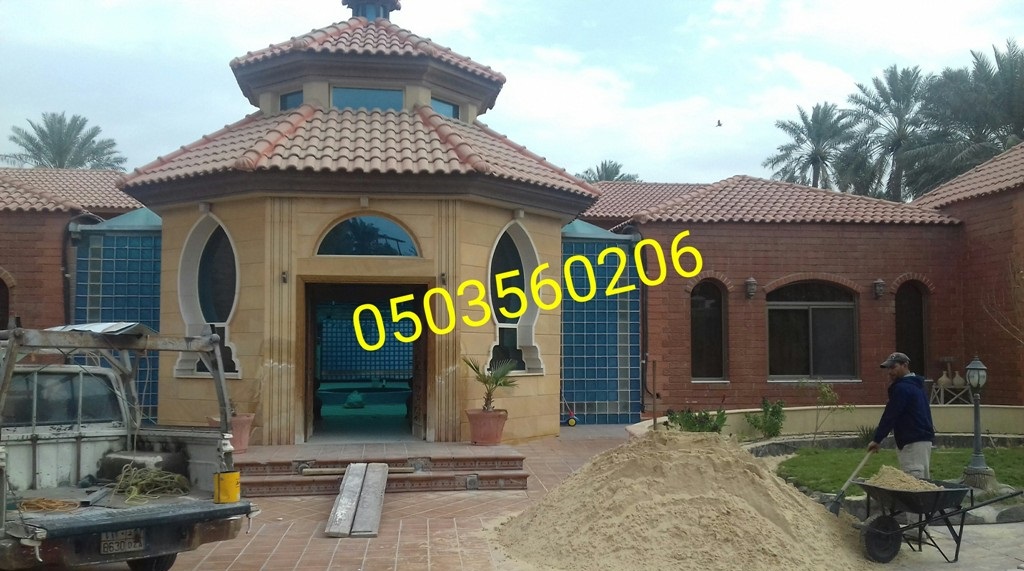 ������ ����� �� ������� ����� 0503560206