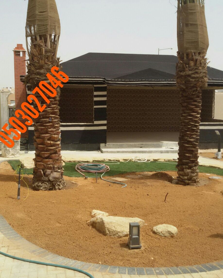  ���� ��� ����� ����� ���� ����� ���� 0503027046