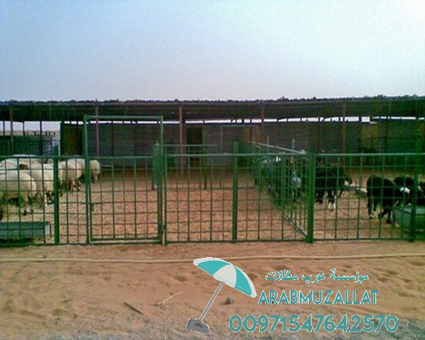 ����� ���� � ���� ����� ������ 00971547642570