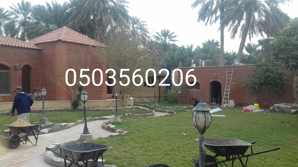 ����� ������� ����� ����� ��� �������� 0503560206