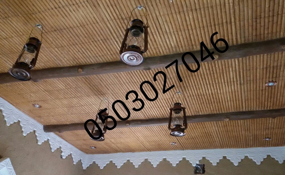 ���� ��� ����� ����� ���� ����� ���� 0503027046