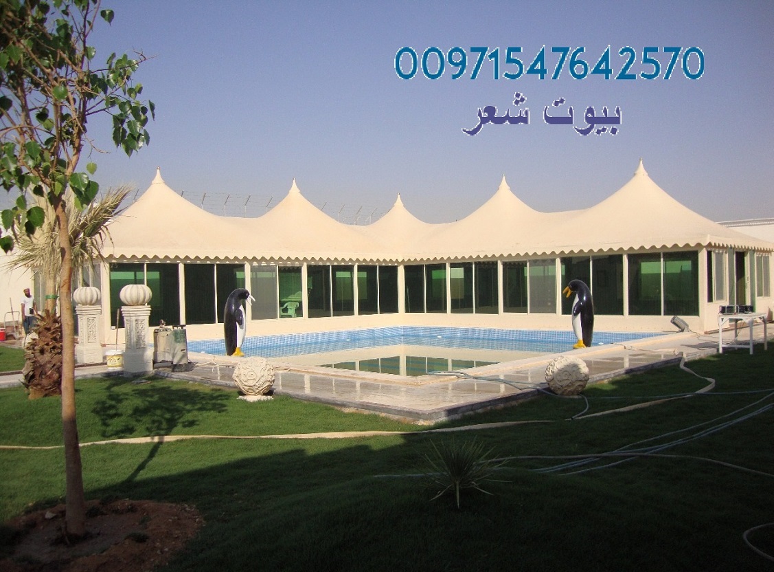 ����� � ����� ������ ����� ������   00971547642570