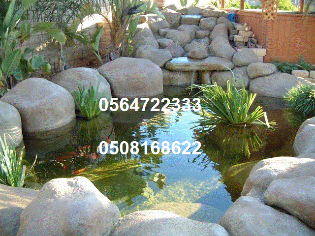 ������ �������,�����