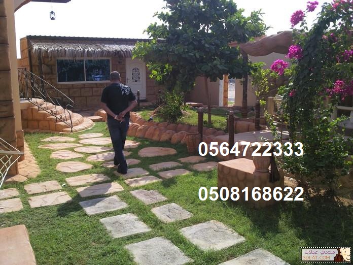 ������ �������,�����