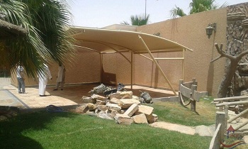 ���� ��� ����� ������ 2019_2020