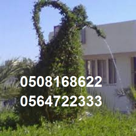 �������,������, ������� ������ �����, ������� �������