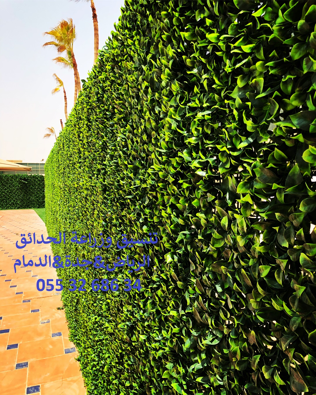 ����� ����� ��� ����� ��� ����� 0553268634