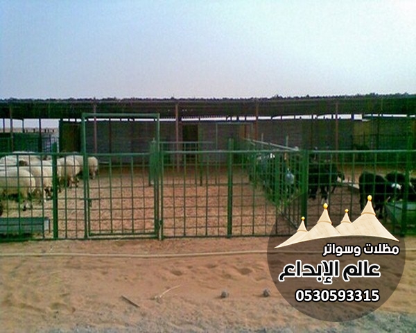 ����� ������ ����� ������ ����� ������ ������  0530593315