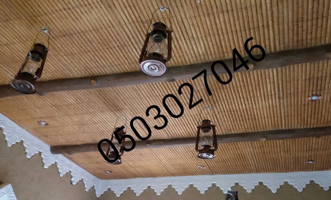 ������� ����� ���� ����� ���� 0503027046