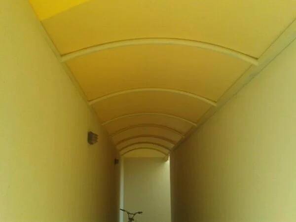 ����� ������ ���� ����� ������� �������� �������