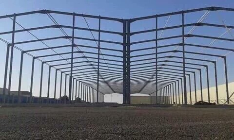 ����� ������ ���� ����� ������� �������� �������