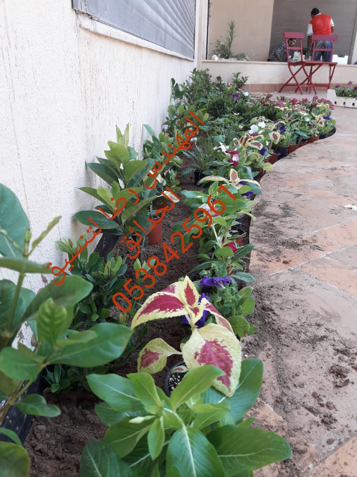 �����,�����,�����,�������,�������,�����,�������,������,�����,����,��������,��������,�������