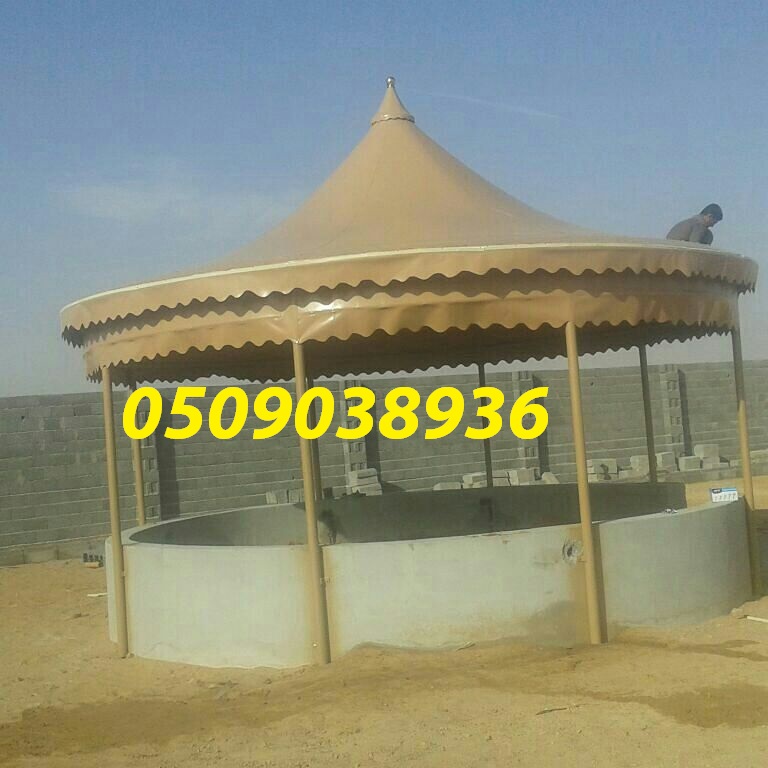   ���� ������ ����� ���� ������� ��������� ��������