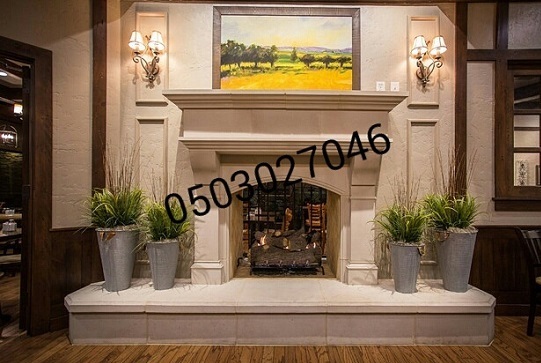 ������� ����� ���� 0503027046