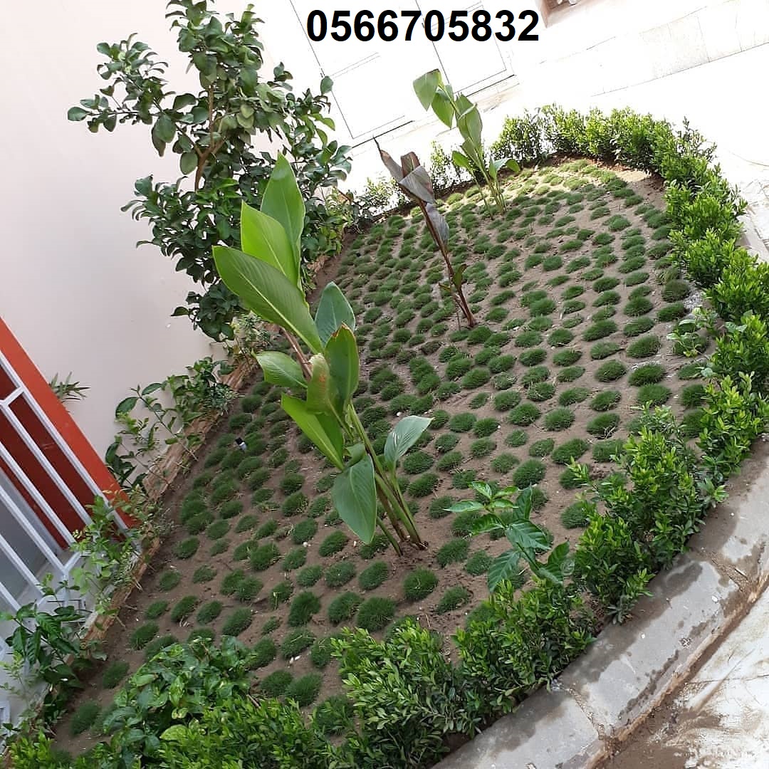 ���,�����,����,������,������,���,�����,�����,���,�����,�����,��������,�����,����