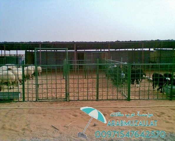 ����� ���� ����� ����� ������ 00971547642570