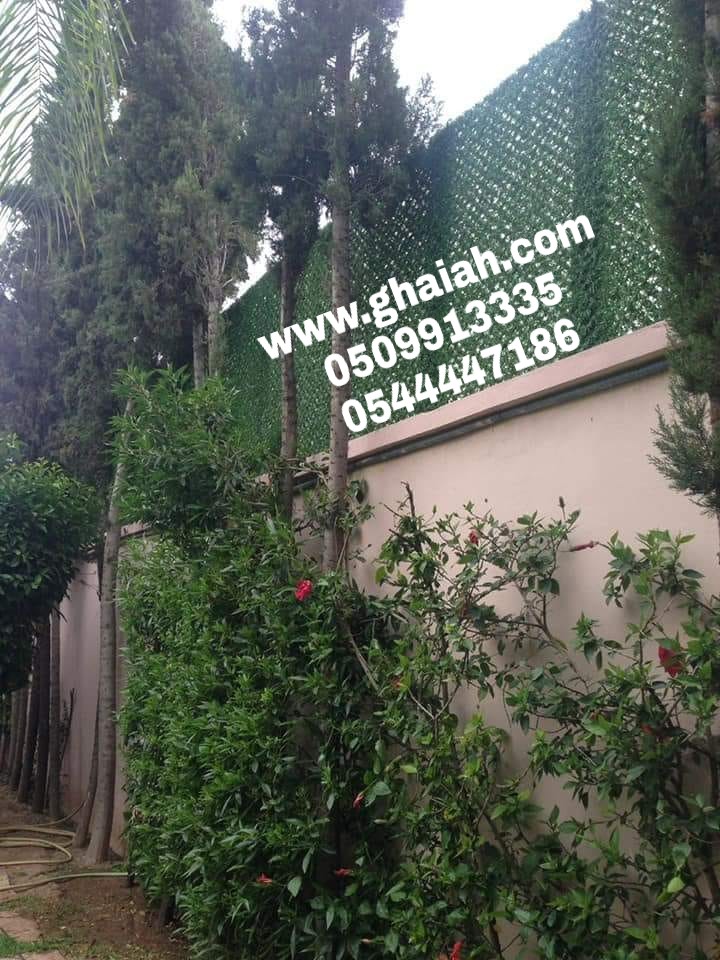 ����� ���� ����� ������ ����� �������� , �� ���� ������� 0509913335