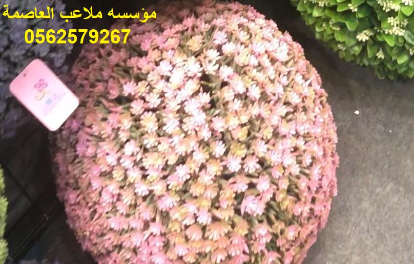 �����,�����,�������,�������,���,�����,�����,�����,����,���,�����,0562579267