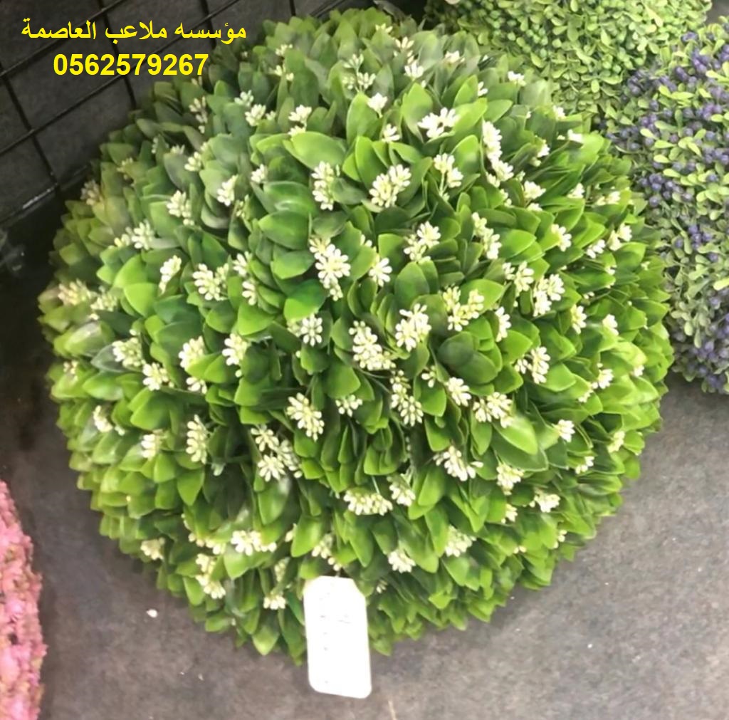 �����,�����,�������,�������,���,�����,�����,�����,����,���,�����,0562579267