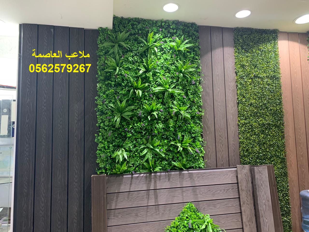 �����,�����,�������,�������,���,�����,�����,�����,����,���,�����,0562579267