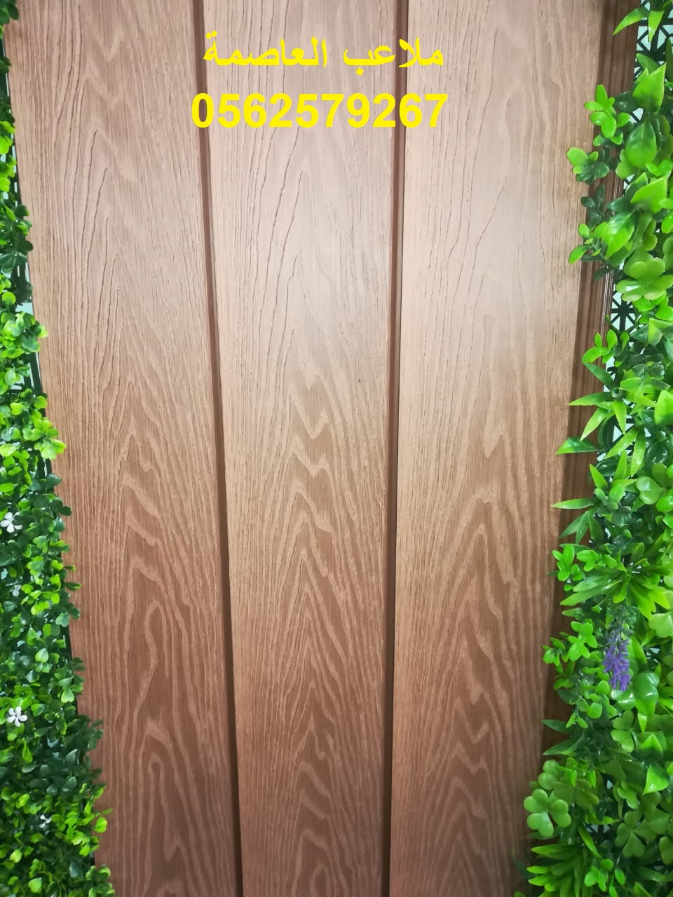 �����,�����,�������,�������,���,�����,�����,�����,����,���,�����,0562579267