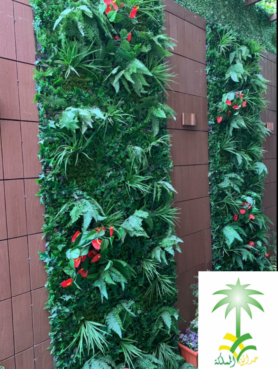 �����,�����,�������,�����,�������,�������,�������,�������,�������,��������,0556242888