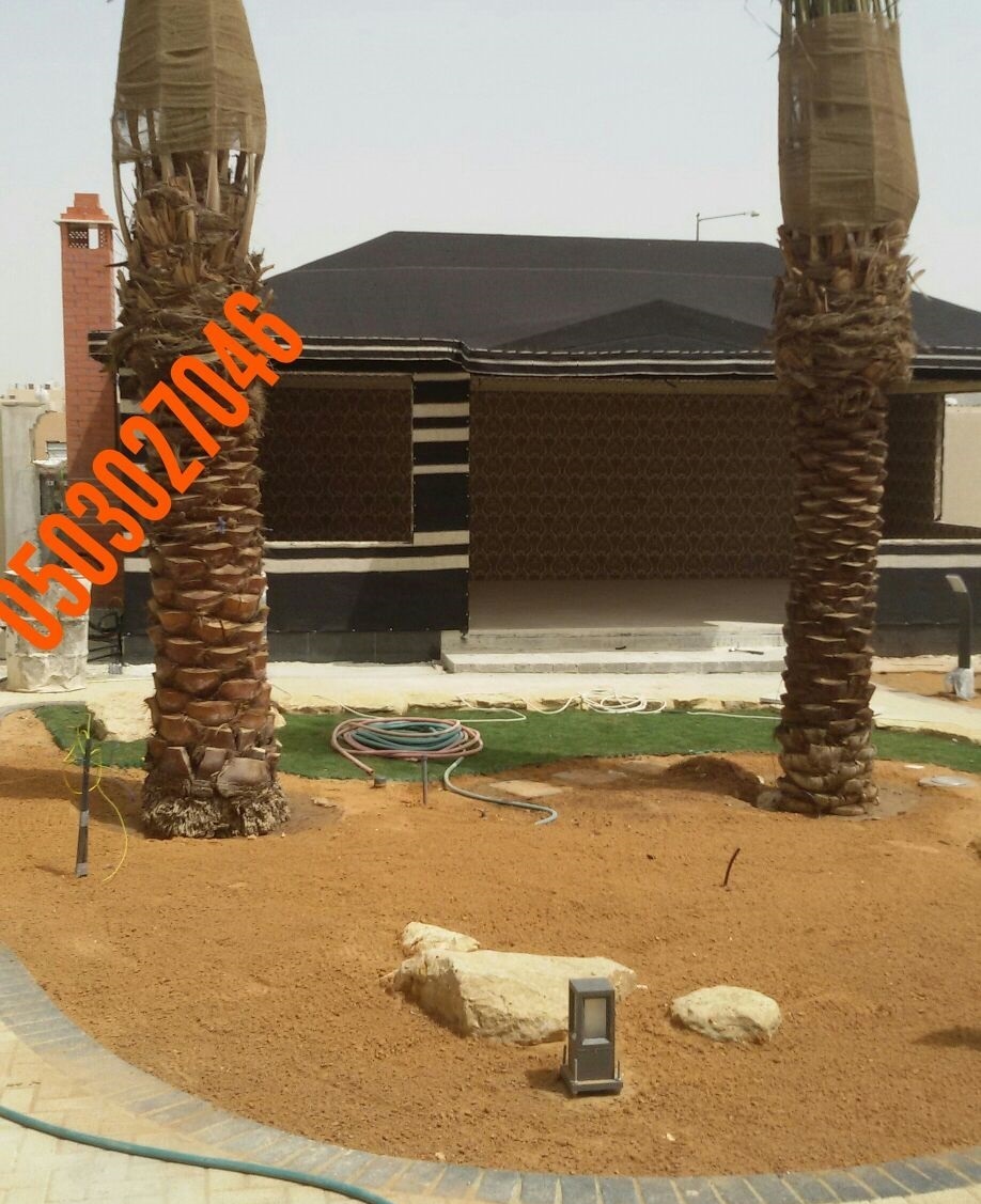 ����� ����� ����  � ������� ����� 0503027046