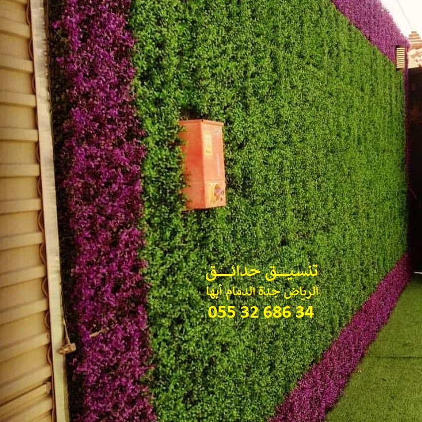 ���� ����� ����� ��� ����� ��� ����� ������ ��� ������ 0553268634