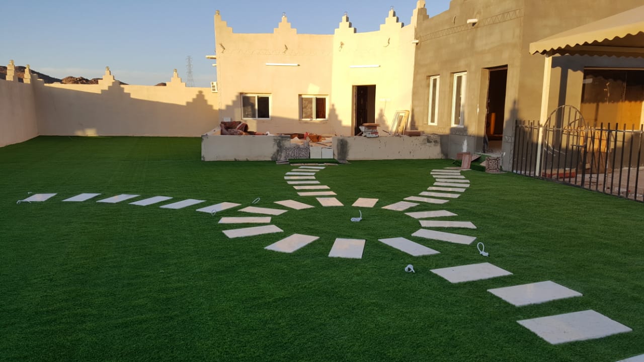 ��� ����� ������� ������ ���