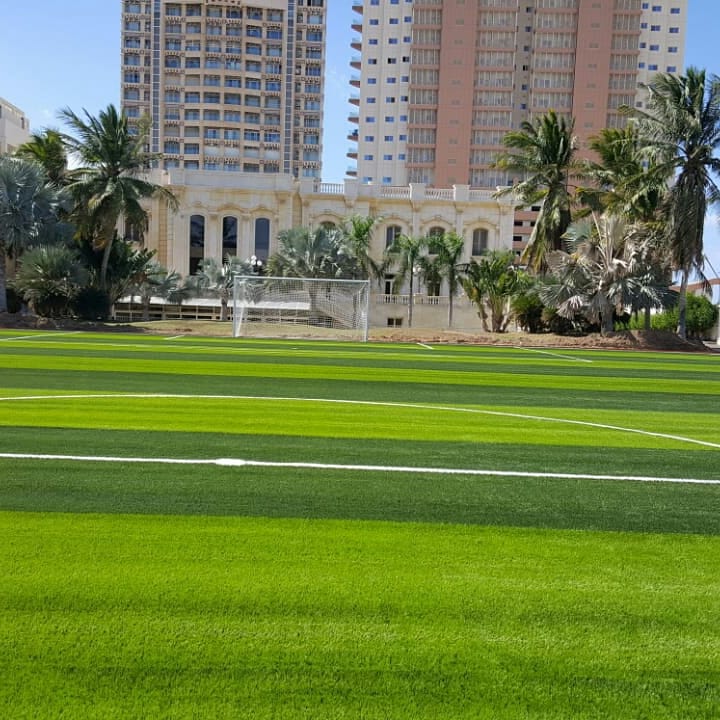 ��� ����� ������� ������ ���