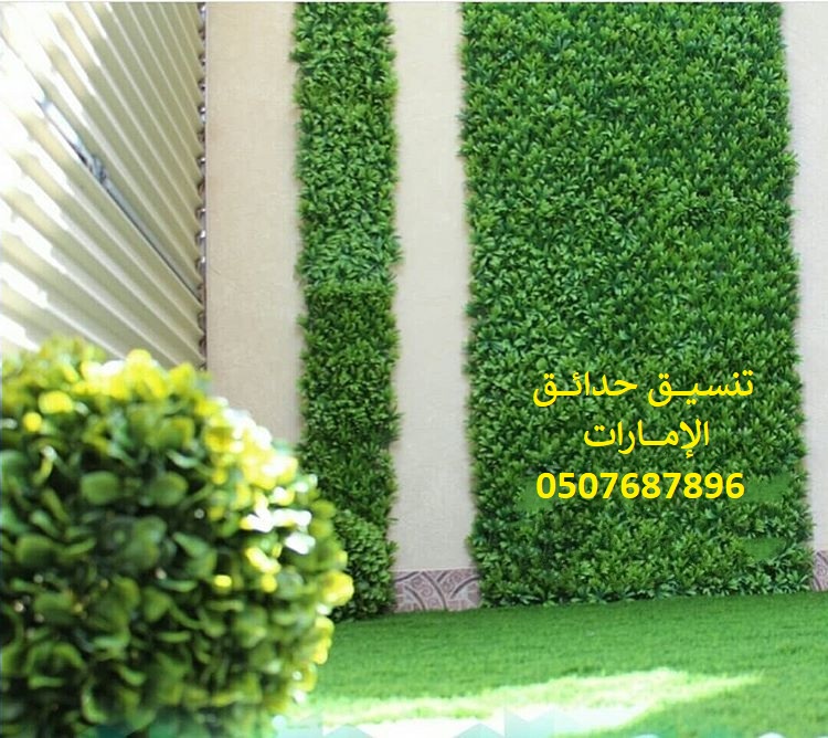 ���� ����� ����� �������� 0507687896 ��� ����� ��� �����