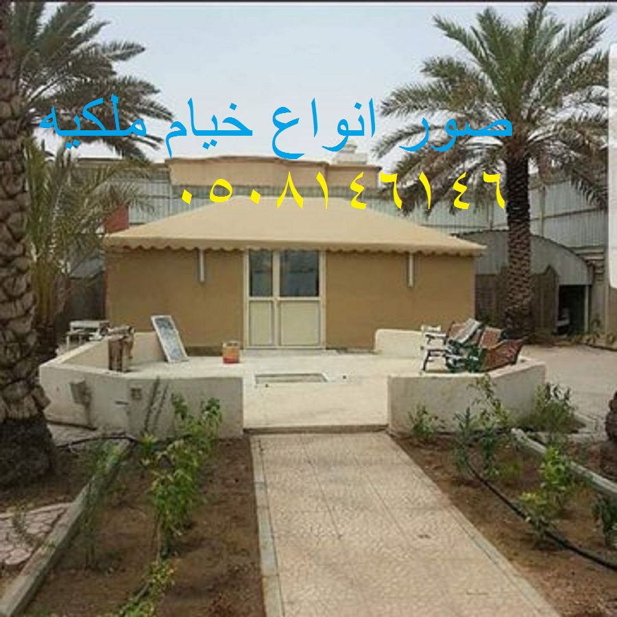 ���� ���� ��� �� �������� ���