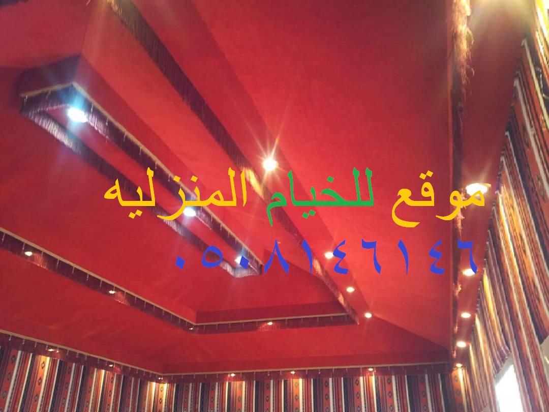 ����� ���� ���� 