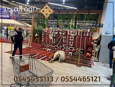 ������ ������, ����� ��� ����, ����� ����� ��������� ,����� ����� ���������